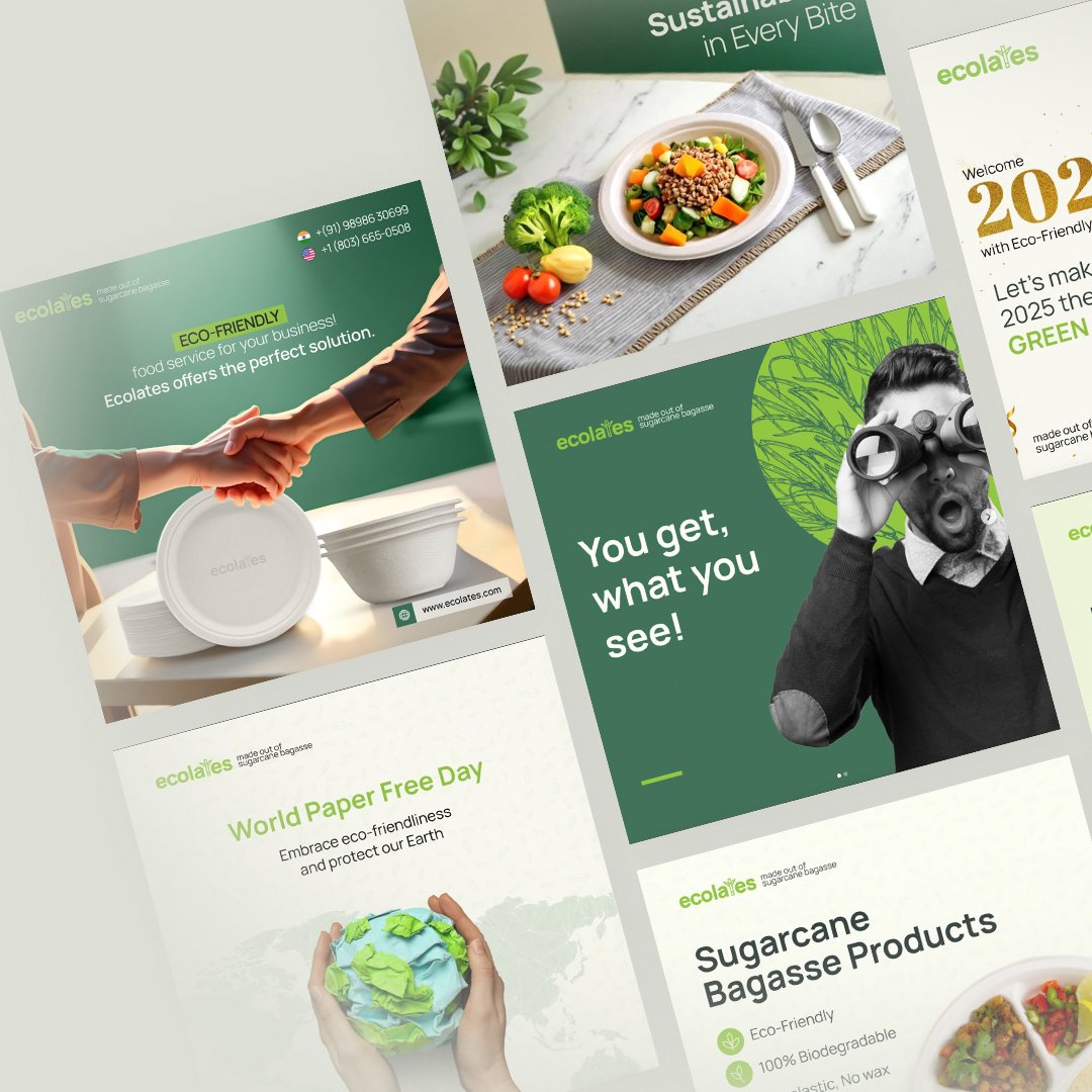 Ecolates India brochure design, including food images and a globe by Zero Designs.